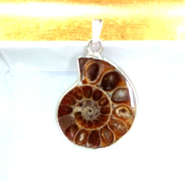 Ammonite Pendant with Silver Bail