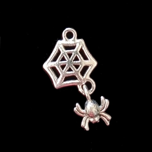 Spider Web with Spider Charm
