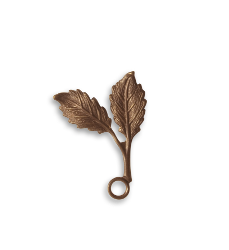 Vintaj Brass Beech Leaf FS018